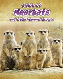 A Mob of Meerkats : And Other Mammal Groups, Hardback Book A Mob of Meerkats : And Other Mammal Groups, Hardback Book