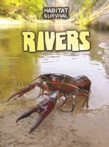Rivers, Hardback Book Rivers, Hardback Book