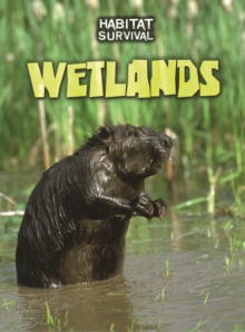 Wetlands, Paperback Book Wetlands, Paperback Book