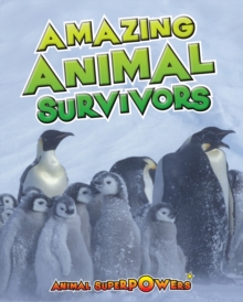 Amazing Animal Survivors, Hardback Book Amazing Animal Survivors, Hardback Book