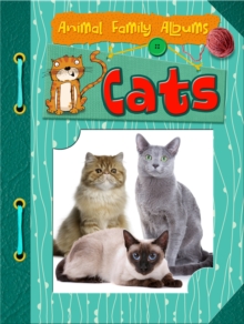 Cats, Paperback Book Cats, Paperback Book