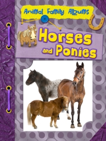 Horses and Ponies, Paperback Horses and Ponies, Paperback