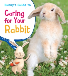 Bunny's Guide to Caring for Your Rabbit, Hardback Book Bunny's Guide to Caring for Your Rabbit, Hardback Book