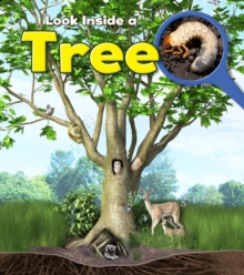 Tree, Hardback Book Tree, Hardback Book
