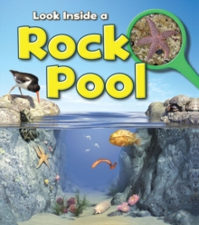 Rock Pool, Paperback Book Rock Pool, Paperback Book