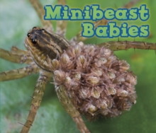 Minibeast Babies, Hardback Book Minibeast Babies, Hardback Book