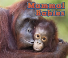 Mammal Babies, Paperback Book Mammal Babies, Paperback Book