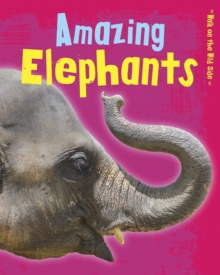 Amazing Elephants, Paperback Book Amazing Elephants, Paperback Book