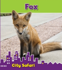 Fox : City Safari, Hardback Book Fox : City Safari, Hardback Book