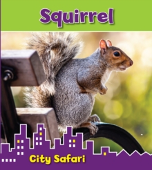 Squirrel : City Safari, Hardback Book Squirrel : City Safari, Hardback Book
