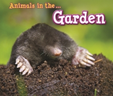 Animals in the Garden, Paperback Book Animals in the Garden, Paperback Book