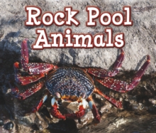 Rock Pool Animals, Paperback Book Rock Pool Animals, Paperback Book