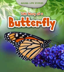 Life Story of a Butterfly, Paperback Book Life Story of a Butterfly, Paperback Book