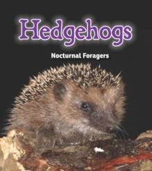 Hedgehogs : Nocturnal Foragers, Hardback Book Hedgehogs : Nocturnal Foragers, Hardback Book