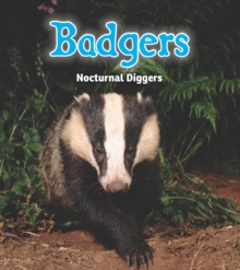 Badgers : Nocturnal Diggers, Hardback Book Badgers : Nocturnal Diggers, Hardback Book