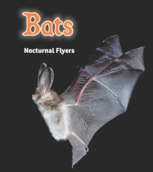 Bats : Nocturnal Flyers, Paperback Book Bats : Nocturnal Flyers, Paperback Book