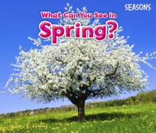 What Can You See in Spring?, Hardback Book What Can You See in Spring?, Hardback Book