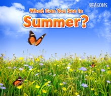What Can You See in Summer?, Paperback Book What Can You See in Summer?, Paperback Book
