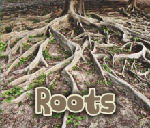All About Roots, Paperback Book All About Roots, Paperback Book