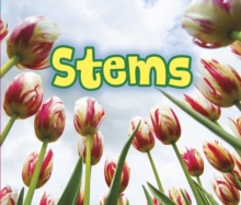 All About Stems, Paperback Book All About Stems, Paperback Book