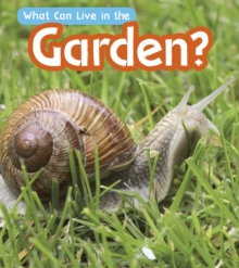 What Can Live in a Garden?, Hardback Book What Can Live in a Garden?, Hardback Book