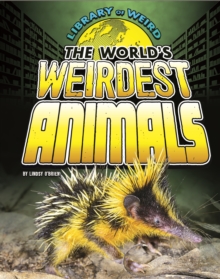 The World's Weirdest Animals, Paperback Book The World's Weirdest Animals, Paperback Book