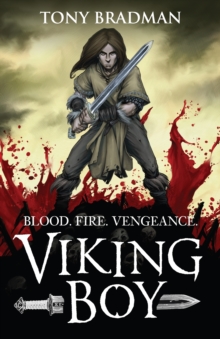 Viking Boy, Paperback Book Viking Boy, Paperback Book