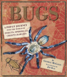 Bugs : A Pop-up Journey into the World of Insects, Spiders and Creepy-crawlies, Hardback Book Bugs : A Pop-up Journey into the World of Insects, Spiders and Creepy-crawlies, Hardback Book