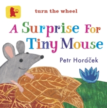 A Surprise for Tiny Mouse, Board book Book A Surprise for Tiny Mouse, Board book Book