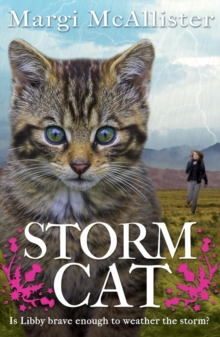 Storm Cat, Paperback Storm Cat, Paperback