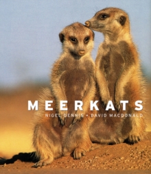 Meerkats, Hardback Meerkats, Hardback
