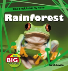 Rainforest, Paperback Book Rainforest, Paperback Book