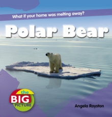 Polar Bear, Paperback Polar Bear, Paperback