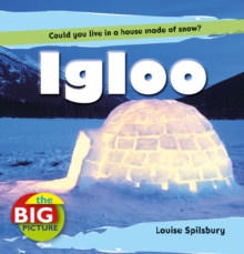 Igloo, Paperback Book Igloo, Paperback Book