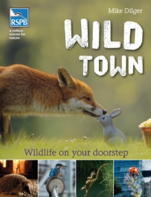 Wild Town, Paperback Book Wild Town, Paperback Book