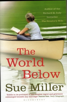 The World Below, Paperback The World Below, Paperback