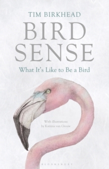 Bird Sense : What it's Like to be a Bird, Hardback Book Bird Sense : What it's Like to be a Bird, Hardback Book