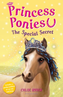 The Special Secret, Paperback Book The Special Secret, Paperback Book
