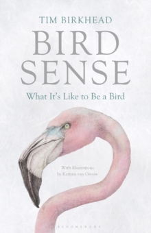 Bird Sense : What It's Like to Be a Bird, Paperback Book Bird Sense : What It's Like to Be a Bird, Paperback Book