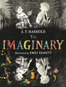 The Imaginary, Hardback The Imaginary, Hardback