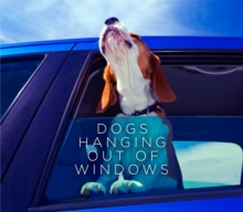 Dogs Hanging out of Windows, Hardback Book Dogs Hanging out of Windows, Hardback Book