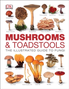 Mushrooms & Toadstools, Hardback Book Mushrooms & Toadstools, Hardback Book