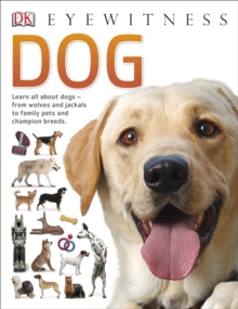 Dog, Paperback Dog, Paperback