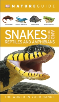 Nature Guide Snakes and Other Reptiles and Amphibians, Paperback Book Nature Guide Snakes and Other Reptiles and Amphibians, Paperback Book