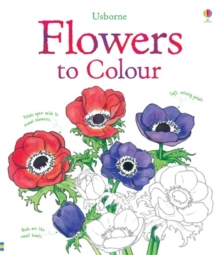 Flowers to Colour, Paperback Book Flowers to Colour, Paperback Book
