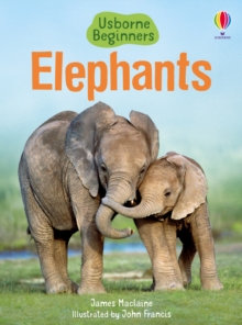 Elephants, Hardback Book Elephants, Hardback Book