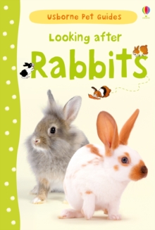 Looking After Rabbits, Hardback Book Looking After Rabbits, Hardback Book