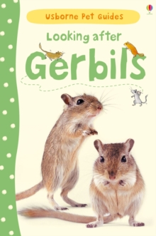 Looking After Gerbils, Hardback Book Looking After Gerbils, Hardback Book