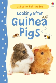 Looking After Guinea Pigs, Hardback Book Looking After Guinea Pigs, Hardback Book