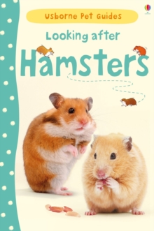 Looking After Hamsters, Hardback Book Looking After Hamsters, Hardback Book